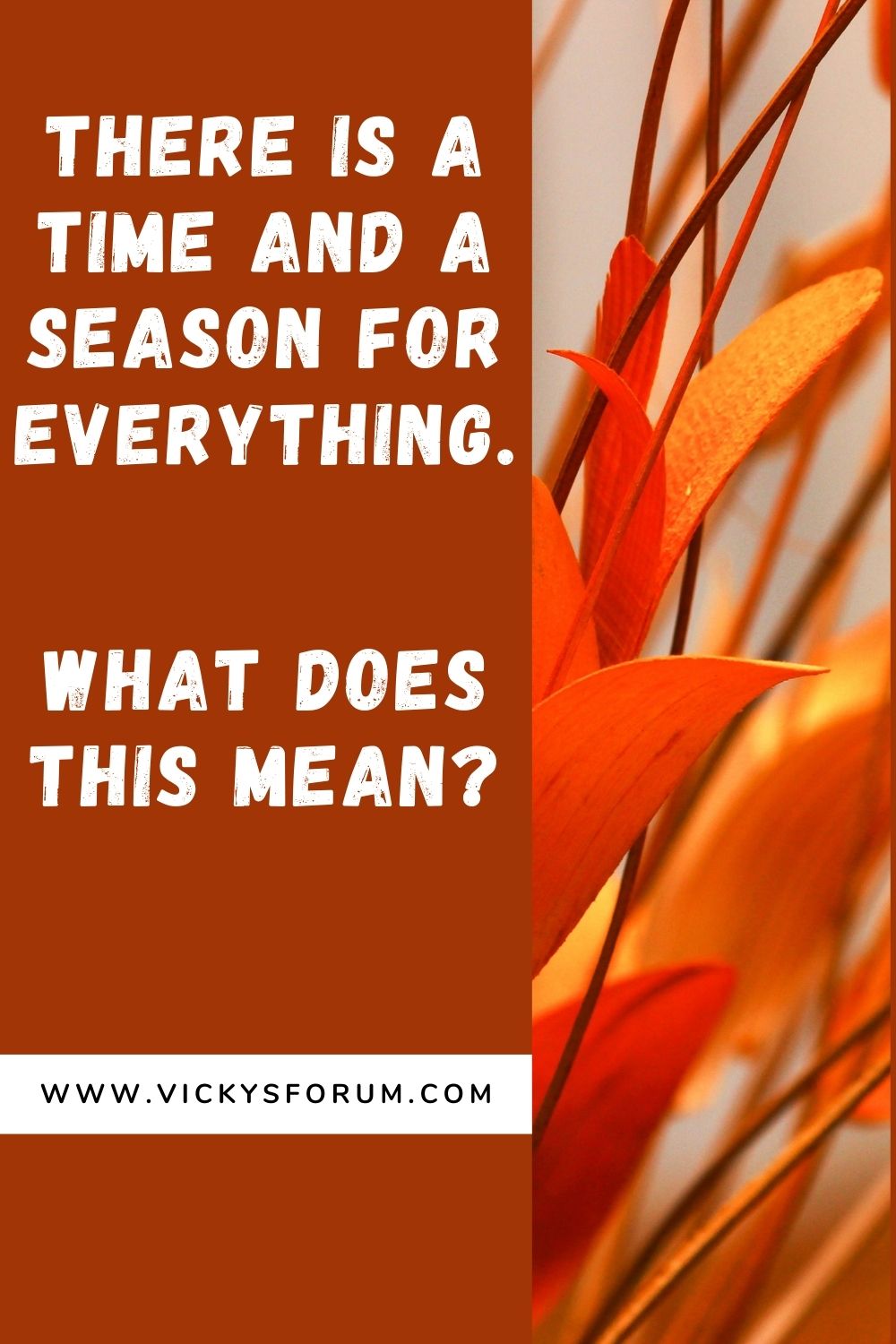 There is a time and a season for everything